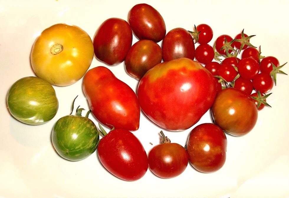 tomates du Domaine de La Prise-Ducommun